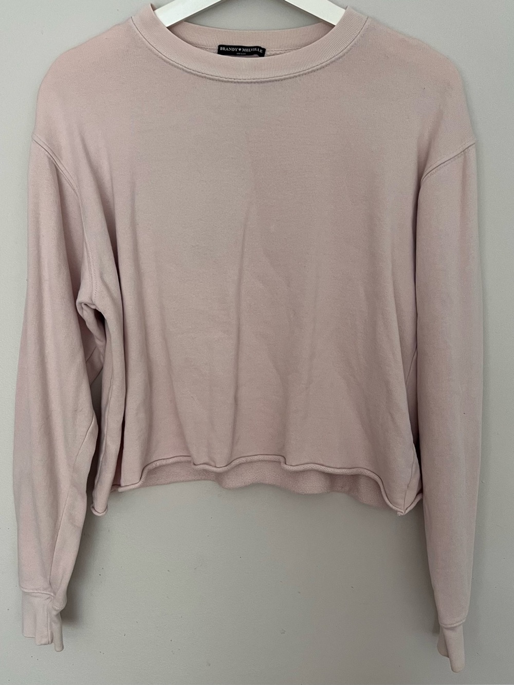 Brandy Melville Light Pink Cropped Crewneck Sweatshirt